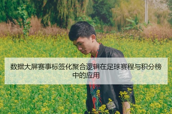 数据大屏赛事标签化聚合逻辑在足球赛程与积分榜中的应用